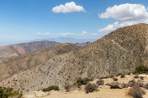 Landschaft Joshua Tree Nationalpark Kalifornien Estados Unidos — Foto de Stock