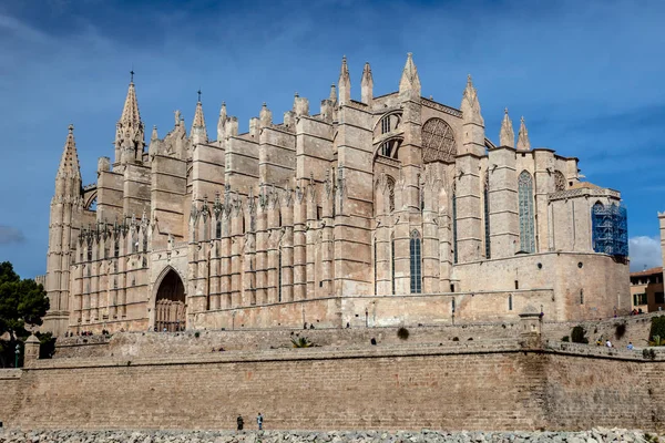 Famous Cathedral Seu Palma Mallorca — Stock Photo, Image