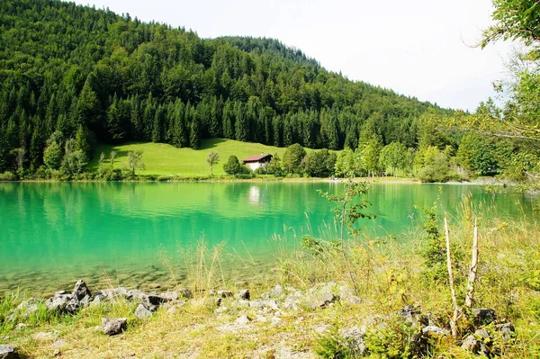 Água Verde Canto Lago Walchensee — Fotografia de Stock