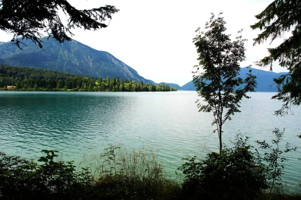Lato Walchensee Alpach Bawarskich — Zdjęcie stockowe