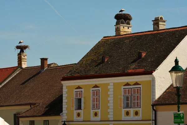 Stork Fireplace Build Nests Raise Young Rust Lake Neusiedl Burgenland — Stock Photo, Image