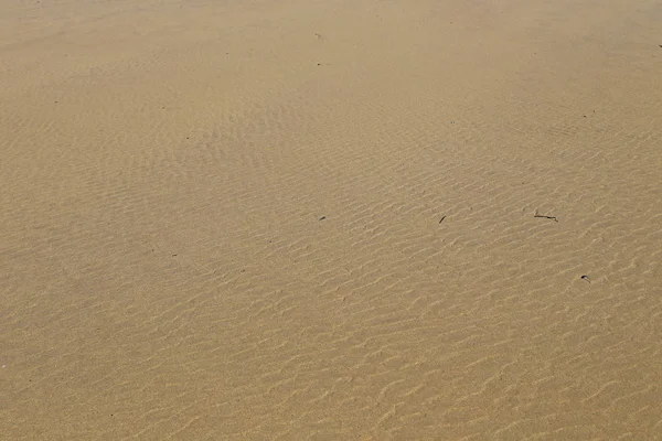 Marcas Ondulação Uma Praia Areia Bretanha França — Fotografia de Stock