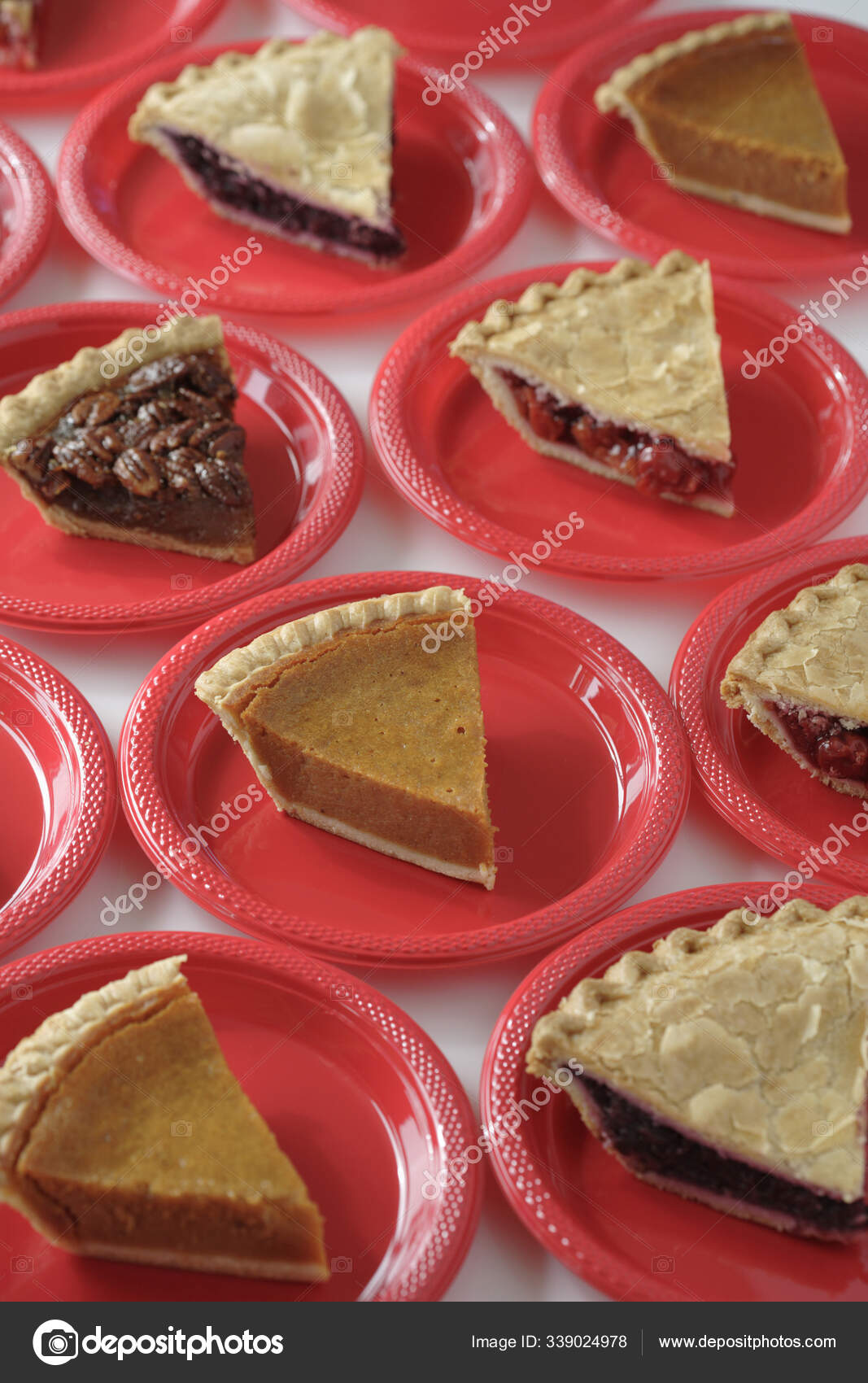 Variety Slices Pie Plates — Stock Photo © PantherMediaSeller 339024978