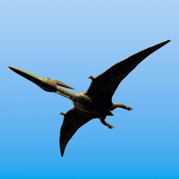 Pteranodon Sarer Польоті — стокове фото