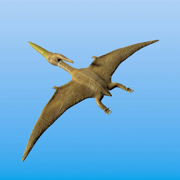 Pteranodon Sarier Flygning — Stockfoto