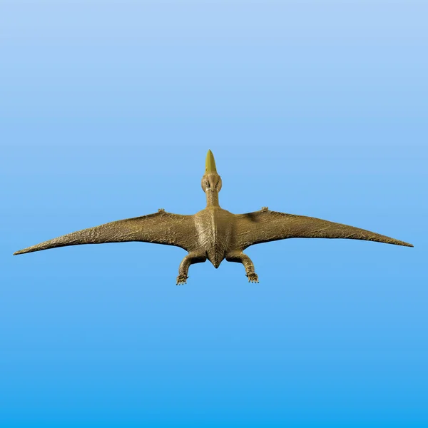 Pteranodon Sarer Польоті — стокове фото