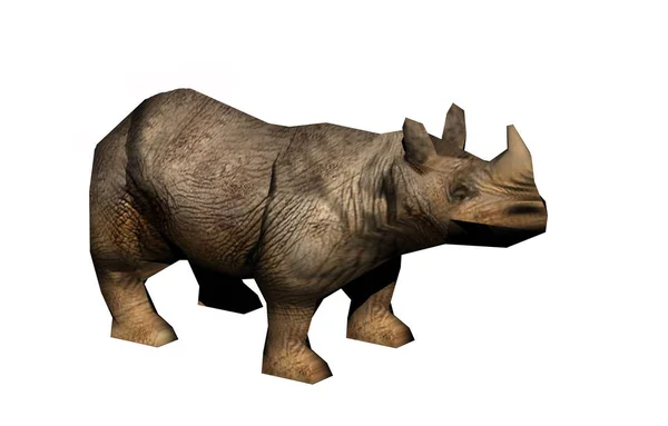 Animaux Rhinocéros Faune Flore Faune — Photo