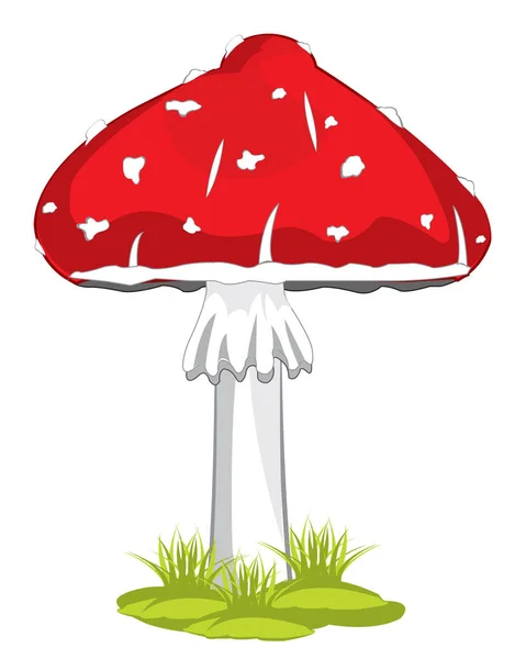 Poisonous Mushroom Fly Agaric White Background Insulated — Stock Photo, Image