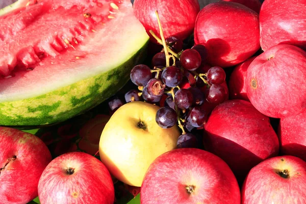 Gröda Augusti Mogna Frukter Äpplen Vattenmelon Och Druvor — Stockfoto