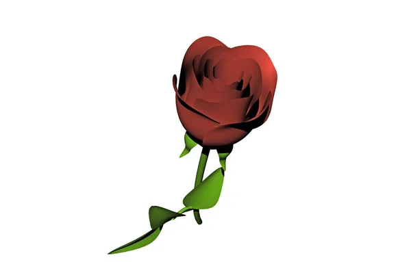 Ανθισμένο Τριαντάφυλλο Πέταλα Λουλουδιών Χλωρίδα — Φωτογραφία Αρχείου