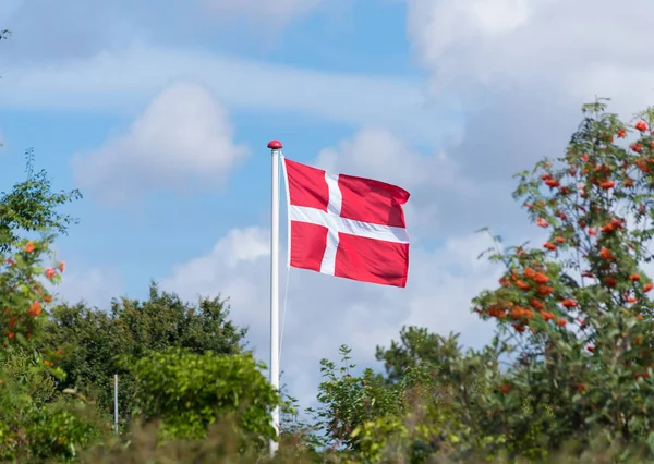 Bandera Danesa Ondeando Viento Sjaelland —  Fotos de Stock