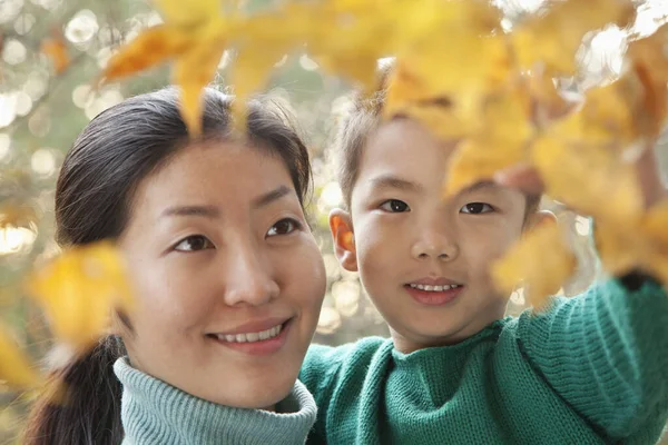 Chinese mother and son looking at autumn leaves