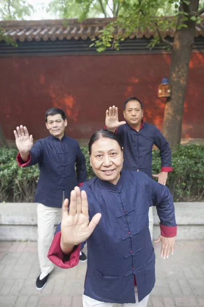 Chinese people practicing taiji in park