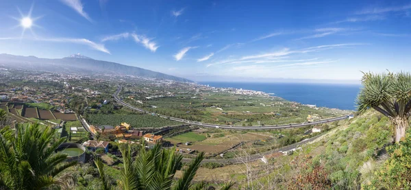 Widok Mirador Humboldt Dolinie Orotava Teide Tenerife — Zdjęcie stockowe