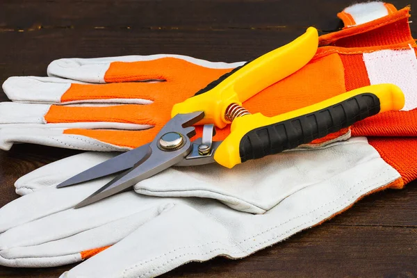 Scissors Equipment Cutting Object — Stock Photo, Image