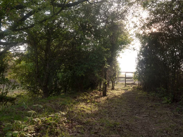 Exuberante Arco Través Del Campo Naturaleza Para Caminar Pasear Través —  Fotos de Stock