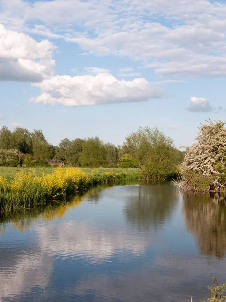 一条令人难以置信的河流流过国家的位置和景观外的国家与反射在湖和大量的色彩在一个夏天的下午在埃塞克斯英国 没有人走和放松垂直拍摄 — 图库照片