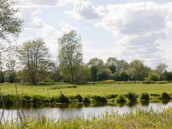 Rzeka Biegną Przez Scenę Kraju Poza Brytyjskim Essex Anglii Letni — Zdjęcie stockowe