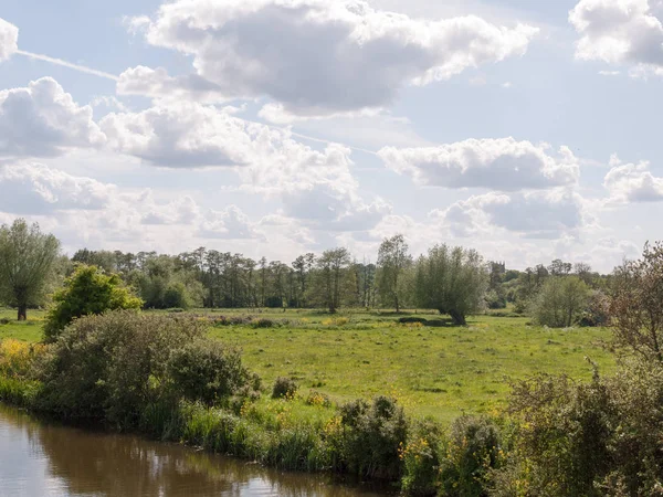 Eine Üppige Nachmittägliche Sommerliche Szene Draußen Auf Dem Lande Mit — Stockfoto