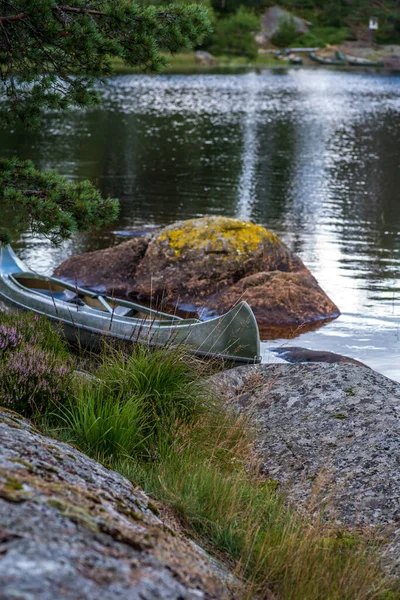 小さな湖での自然写真 — ストック写真