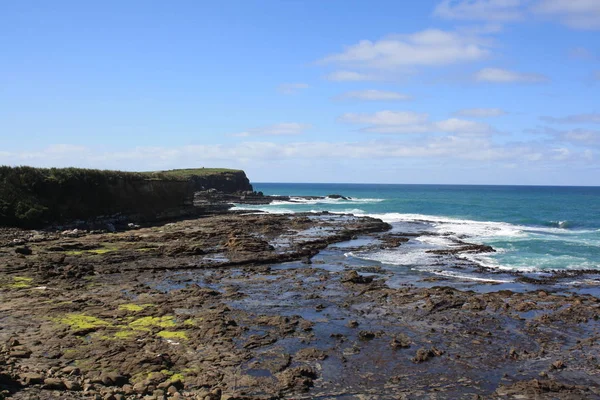 Petrified Forest Curio Bay New Zealand — стоковое фото