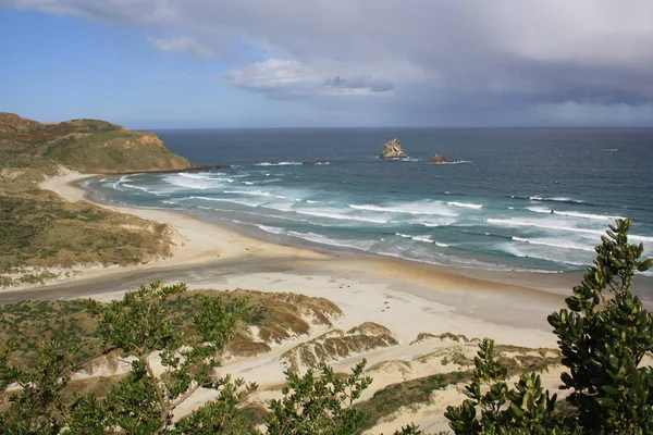 Pláž Poloostrově Otágo — Stock fotografie