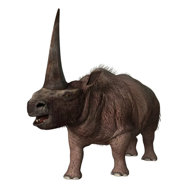 Візуалізація Гігантського Вимерлого Носорога Elasmotherium Sibiricum Ізольовано Білому Тлі — стокове фото