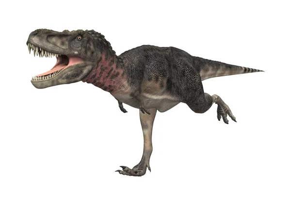 Візуалізація Динозавра Тарбозавра Ізольовано Білому Тлі — стокове фото