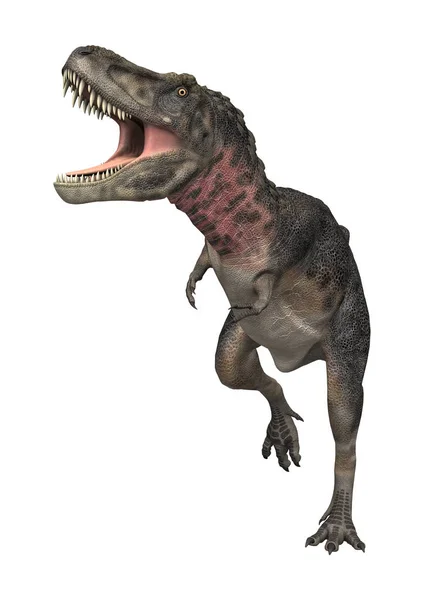 Rendering Tarbosauro Dinosauro Isolato Sfondo Bianco — Foto Stock