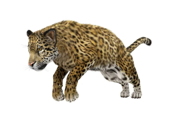 Renderização Grande Gato Jaguar Pulando Isolado Fundo Branco — Fotografia de Stock