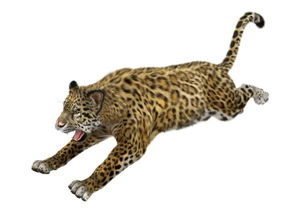 Weergave Van Een Grote Kat Jaguar Springen Geïsoleerd Witte Achtergrond — Stockfoto