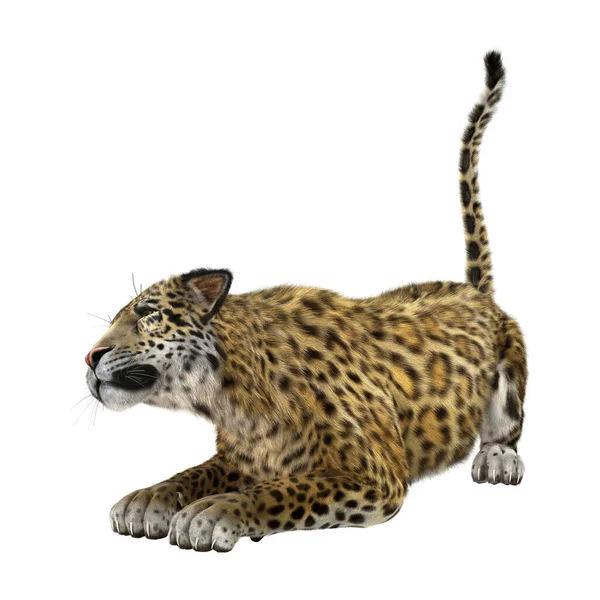 Рендеринг Большого Кошачьего Ягуара Белом Фоне — стоковое фото