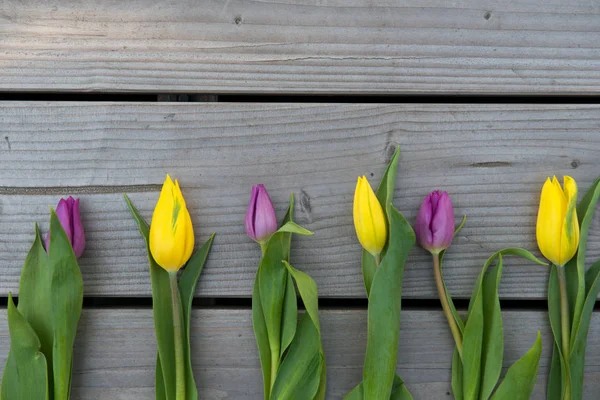 Gelbe Und Violette Tulpen Auf Holzboden Von Oben — Stockfoto