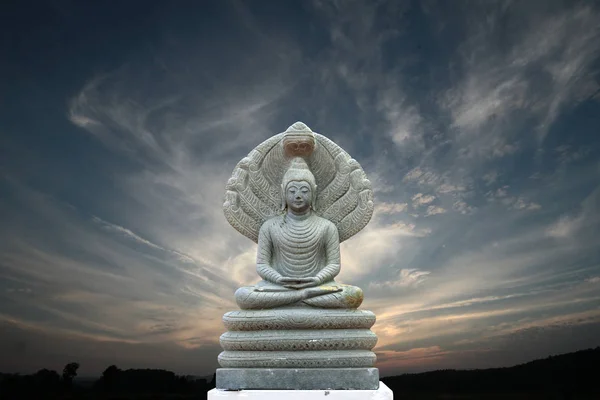 Открытое Красивое Каменное Изображение Будды Покрытое Семью Головами Нака Великого — стоковое фото