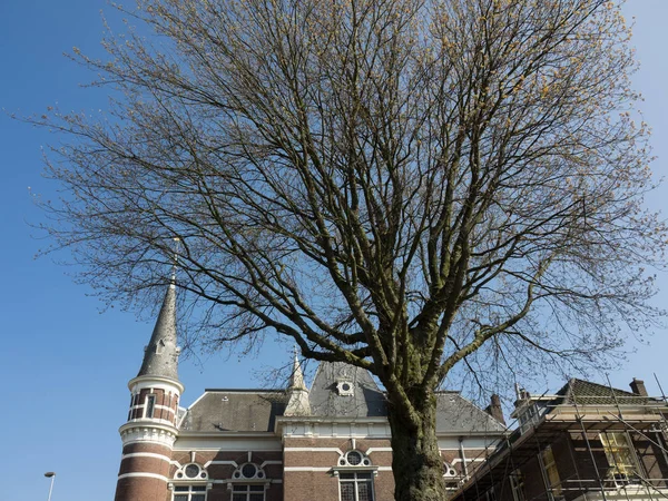 Haarlem Dolnej Części Kraju — Zdjęcie stockowe