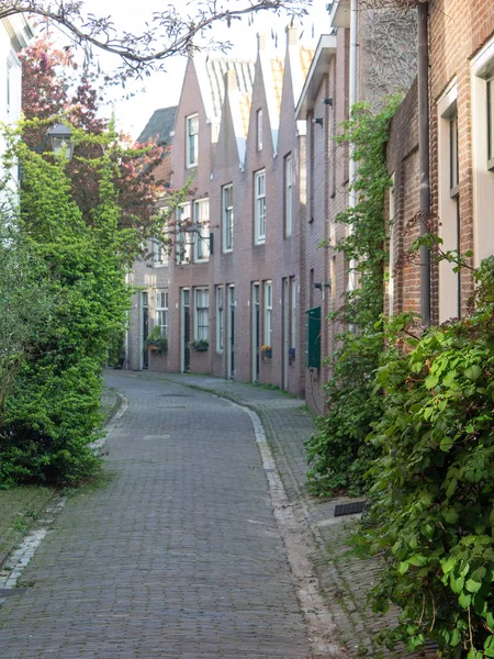 Haarlem Den Niederlanden — Stockfoto