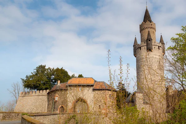 Vue Panoramique Sur Architecture Majestueuse Château Médiéval — Photo