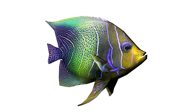 Tropikalne Ryby Podwodna Fauna — Zdjęcie stockowe