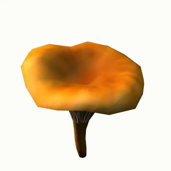 蘑菇的果体 — 图库照片