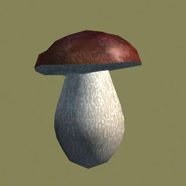 Cogumelos Frutificar Corpos — Fotografia de Stock