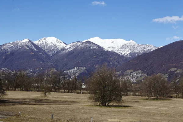 Het Landschap Bij Quartino Zwitserland Ticino Met Besneeuwde Bergen Alpen — Stockfoto