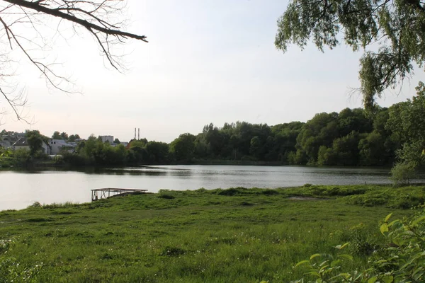 Zonnige Dag Een Rustige Vijver Zomer Natuur — Stockfoto