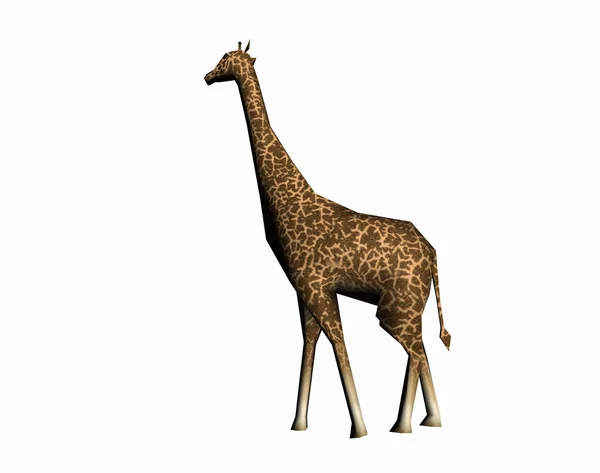 Giraffe Pflanzenfressendes Säugetier — Stockfoto