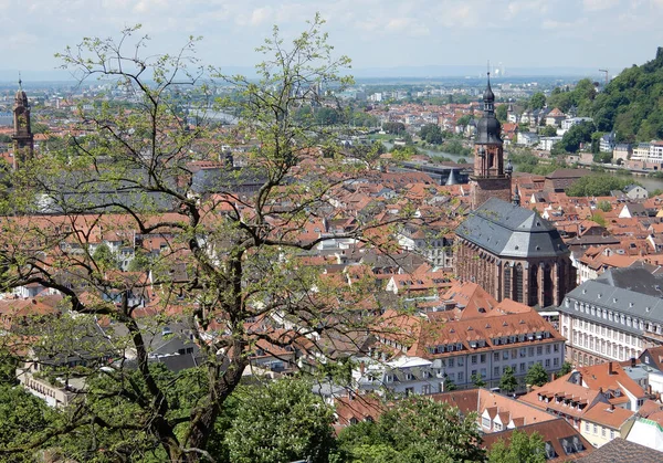 Heidelberg Kilátás Kastélyból — Stock Fotó