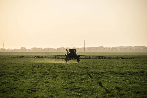 Tractor Met Hoge Wielen Maakt Mest Jonge Tarwe Het Gebruik — Stockfoto