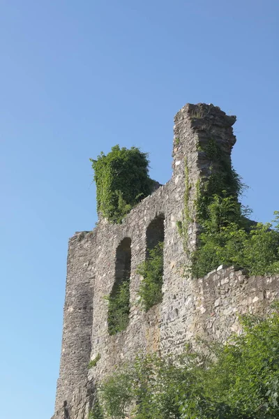 Κάστρο Τοίχο Κισσό — Φωτογραφία Αρχείου