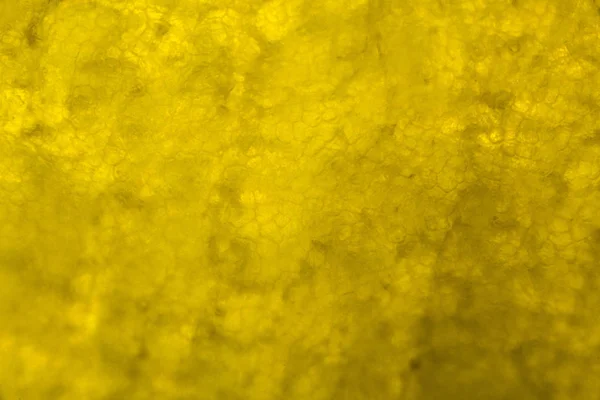 Yellow Pepper Microscope — Stock Photo, Image