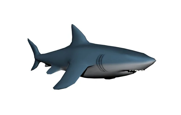 Grafische Haaienvis Illustratie Witte Achtergrond — Stockfoto