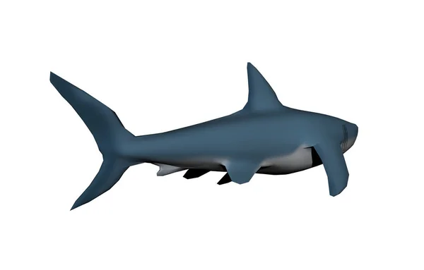 Gráfico Tubarão Peixe Ilustração Fundo Branco — Fotografia de Stock
