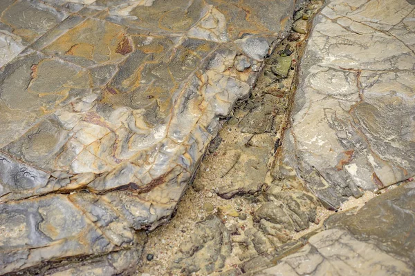 Salzwasser Felsstruktur Auf Flachem Vorlandfelsen — Stockfoto
